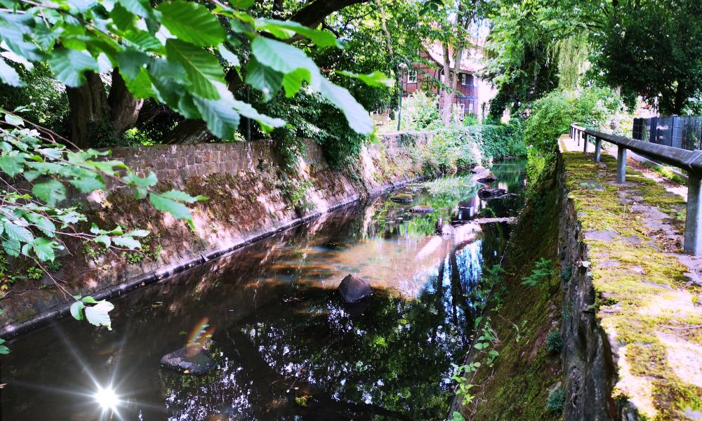 Blick auf den Stadtstreek. Die Sonne spiegelt sich auf der Wasseroberfläche.