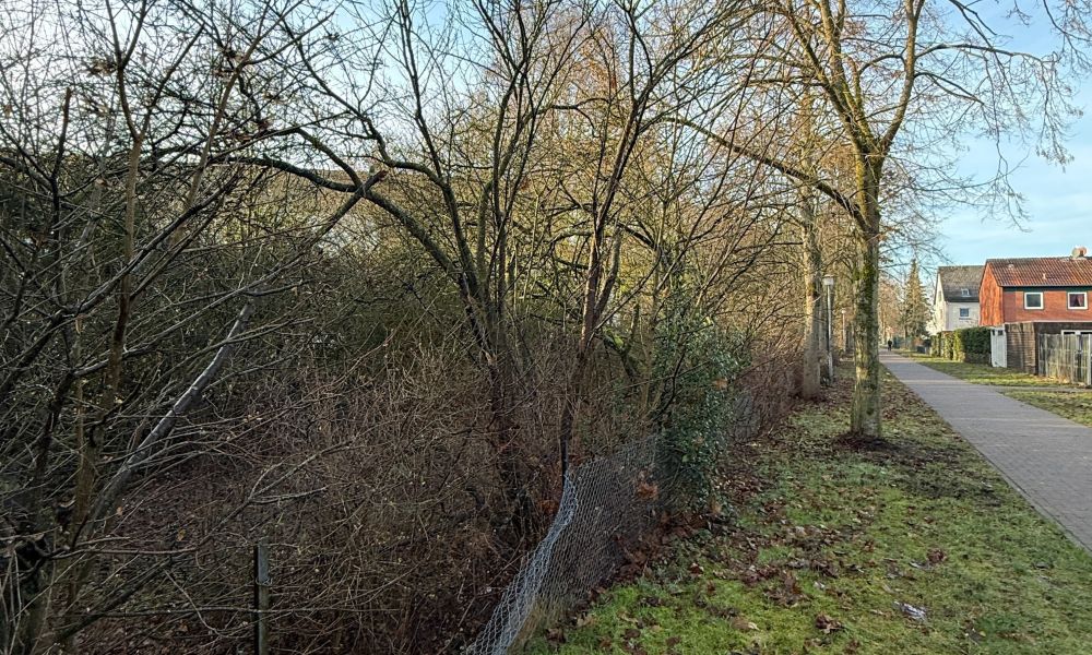 Die ehemalige Bahnstrecke am Sandhasenweg ist aktuell zugewachsen und abgezäunt - bietet sich hier Nachverdichtungspotenzial?