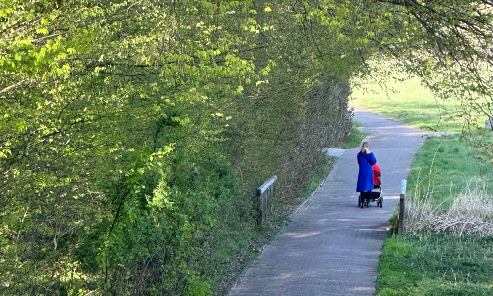 Die Baumkronen am Kreishaus reichen über den Weg, der den dortigen Wald von den Nödenwiesen trennt.