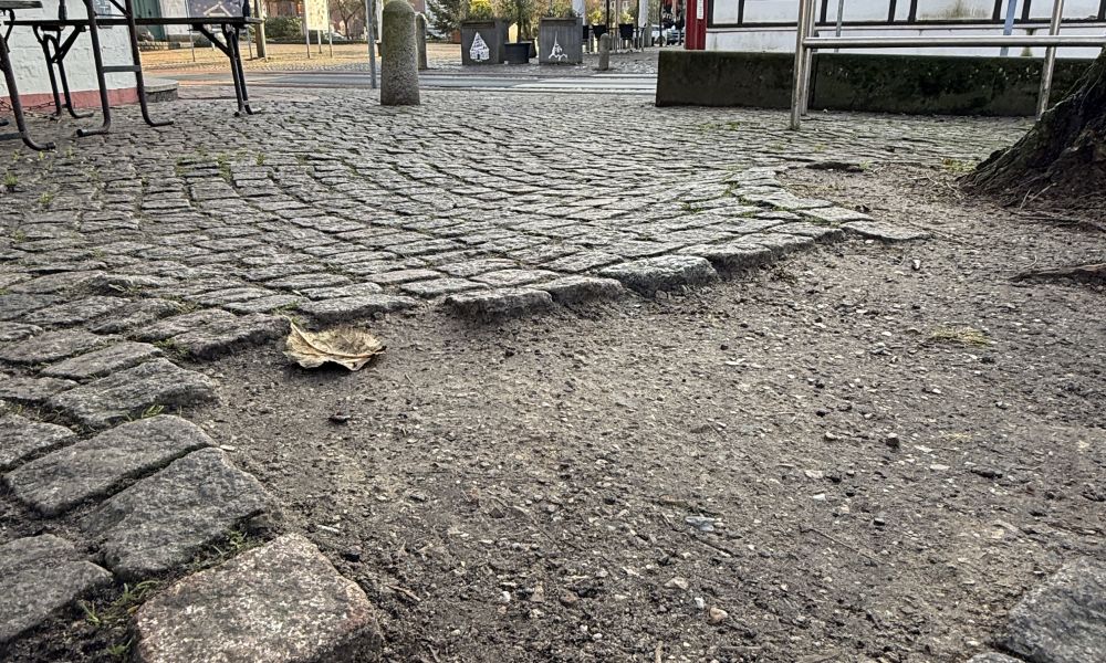 Wurzelweg drückt den Gehweg mancherorts hoch.
