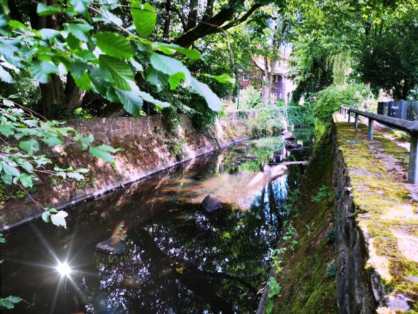 Blick auf den Stadtstreek. Die Sonne spiegelt sich auf der Wasseroberfläche.