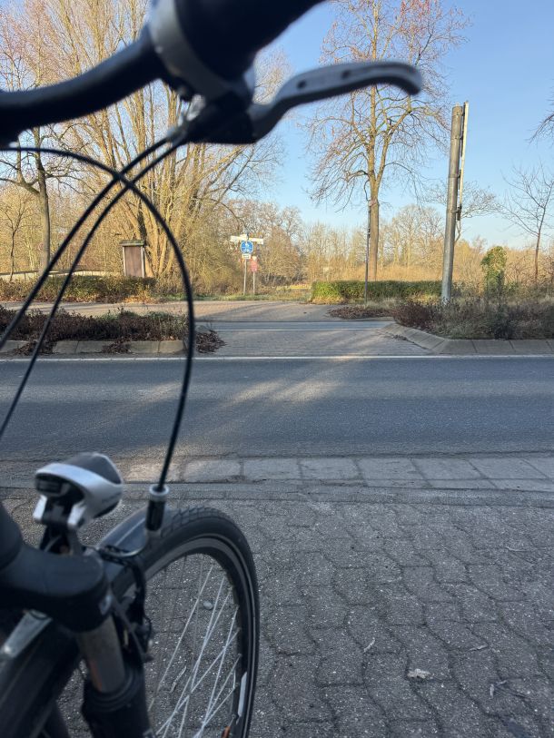 Die Verkehrsinsel an der Aalterallee, Höhe Rathaus, bietet Potenzial für eine einfache Querung.